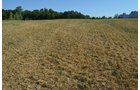 Property photo 98 - 21 Acre Modern Country Estate